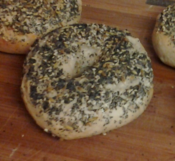Sourdough Bagels Experiment